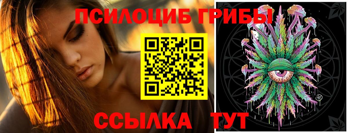 Псилоцибиновые грибы Psilocybe  Псилоцибиновые грибы прущие грибы  Кемерово  Вход с VPN 